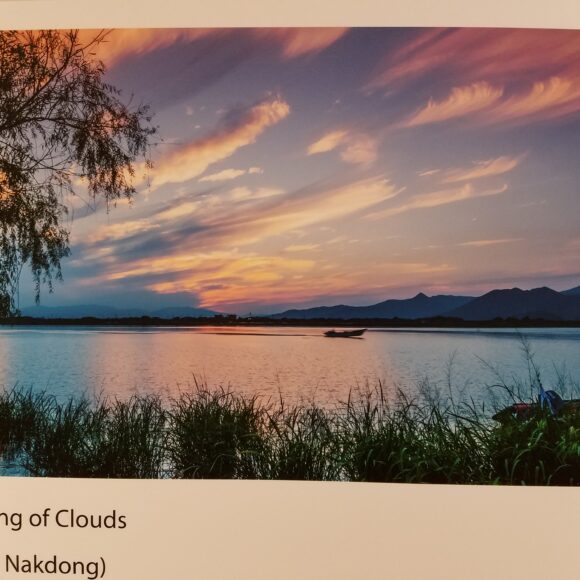 Busan Photograph Exhibition  부산 사진전