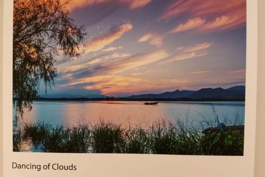 Busan Photograph Exhibition  부산 사진전