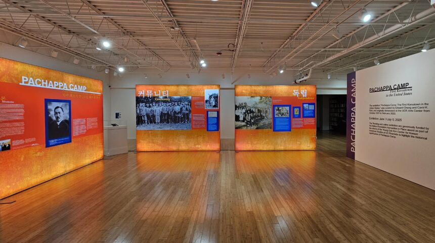 ‘Pachappa Camp’, Special Lecture and Opening Reception
